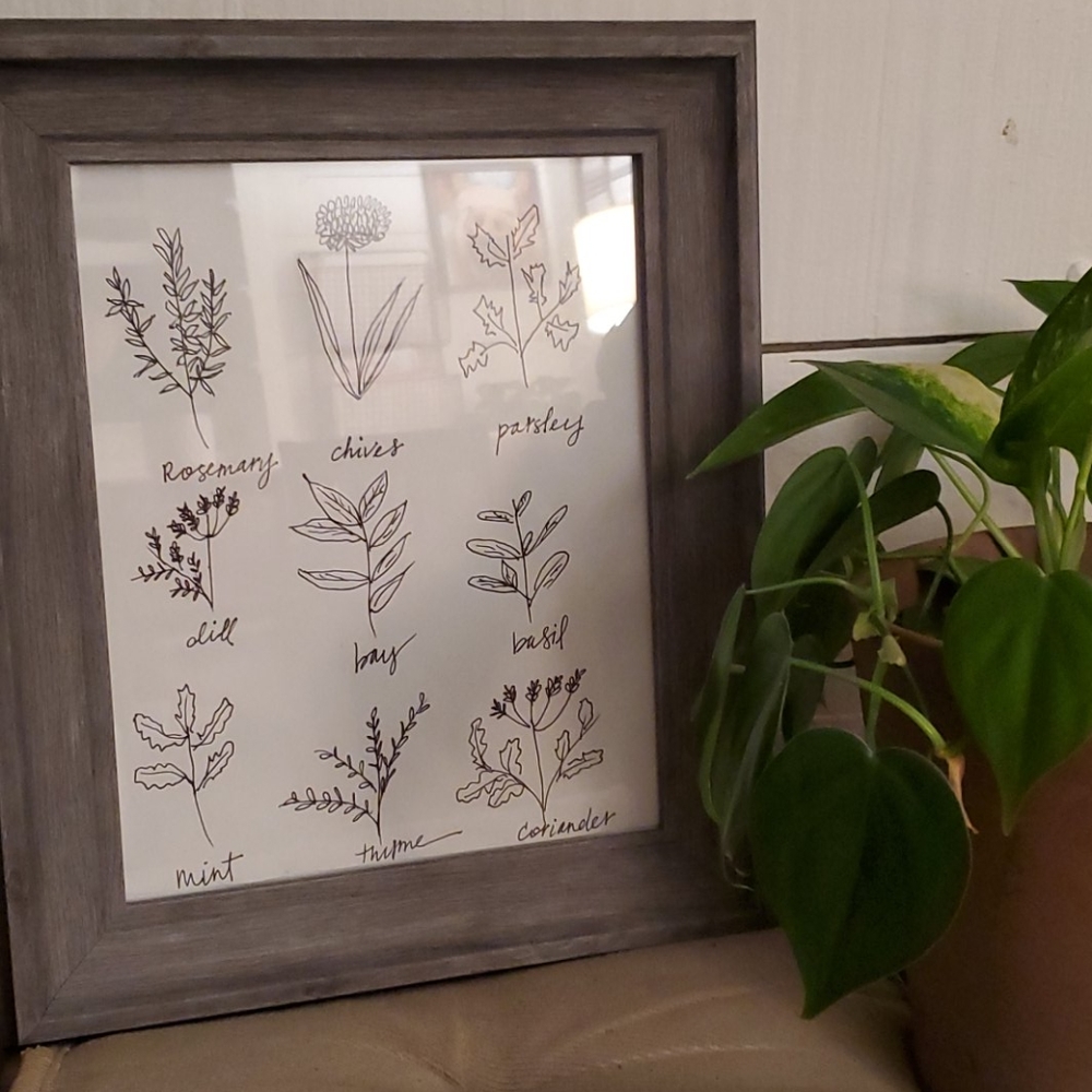 Kitchen herbs